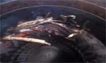 带热继电器?；さ牡缁捣鄙栈俚脑蚴鞘裁?？——西安博汇仪器仪表有限公司